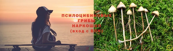 круглые Бронницы